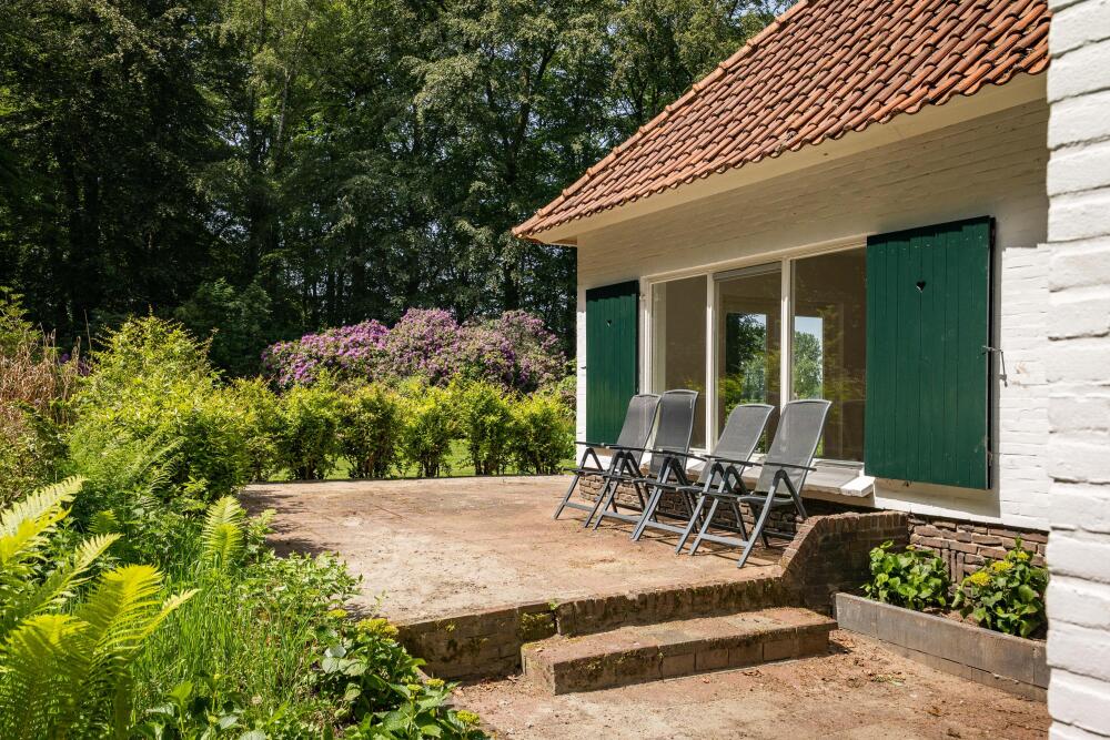 Foto 37 1000w
