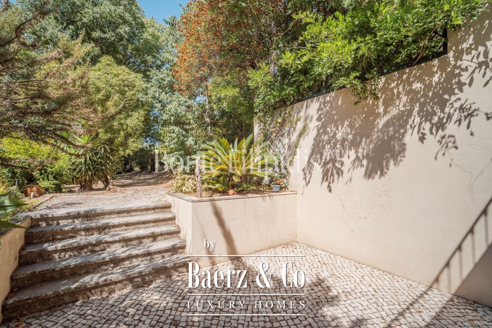 Foto 15 1000w